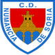努曼西亚U19 Logo