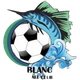 都柏林FC Logo