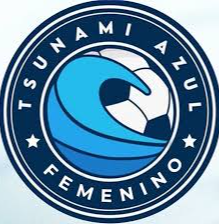 蓝色海啸女足 Logo