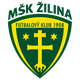 泽利纳 Logo