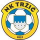 特日奇 Logo