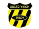 IRB雅伊奇 Logo