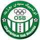 西迪 Logo