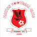 红鹰FC Logo