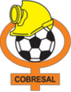 科布雷索女足 Logo