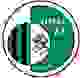 维图斯 Logo