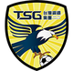 南市台钢 Logo