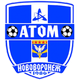 新沃罗涅日 Logo