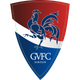 基维辛迪女足 Logo