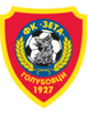 泽塔U19 Logo