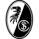 弗赖堡女足 Logo