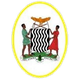 国家大会女足 Logo
