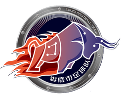 娄底队 Logo