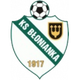 布朗尼卡 Logo