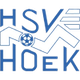 HSV胡克 Logo