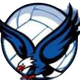 雷鸟女足 Logo