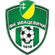 伊瓦采维奇 Logo