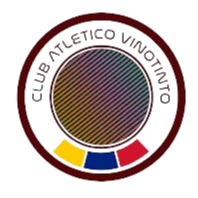 维罗提图女足 Logo