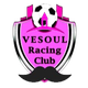 威苏尔 Logo