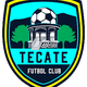 特卡特FC Logo