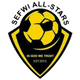 赛夫维全明星FC Logo