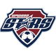密歇根星 Logo
