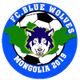 蓝狼FC Logo