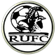 罗恩联 Logo