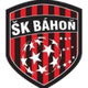 巴洪 Logo