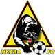 帕尔斯卡麦特罗 Logo