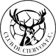 切尔沃FC二队 Logo