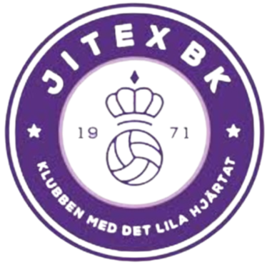 吉特克斯DFF女足 Logo
