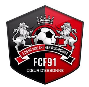 弗勒里91女足 Logo