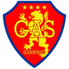 盖斯 Logo