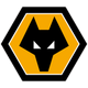 狼队 Logo
