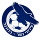 伊若尼内瑟 Logo