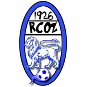 泽姆 Logo