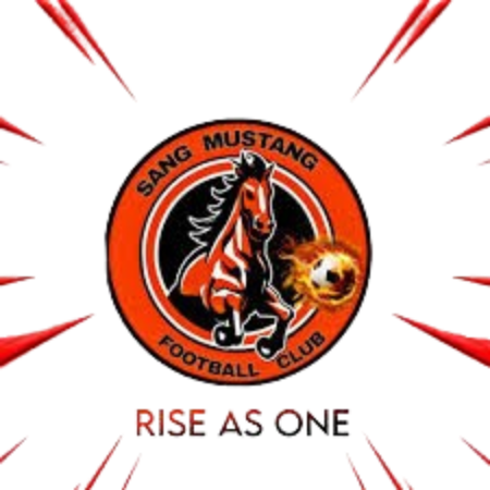 桑野马FC Logo