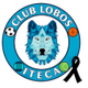 伊泰卡狼 Logo
