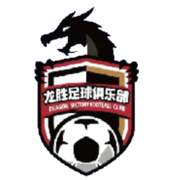 南京龙胜 Logo
