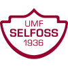 塞尔福斯 Logo