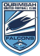 欧林巴联合 Logo
