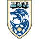 石家庄踢球者 Logo