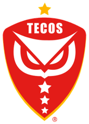 特科斯 Logo