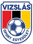维兹拉斯 Logo