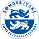 桑德捷斯基后备队 Logo
