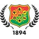 哥德堡大力士U21 Logo
