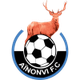 艾农维 Logo