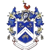 尼尔森 Logo