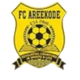 阿雷科 Logo